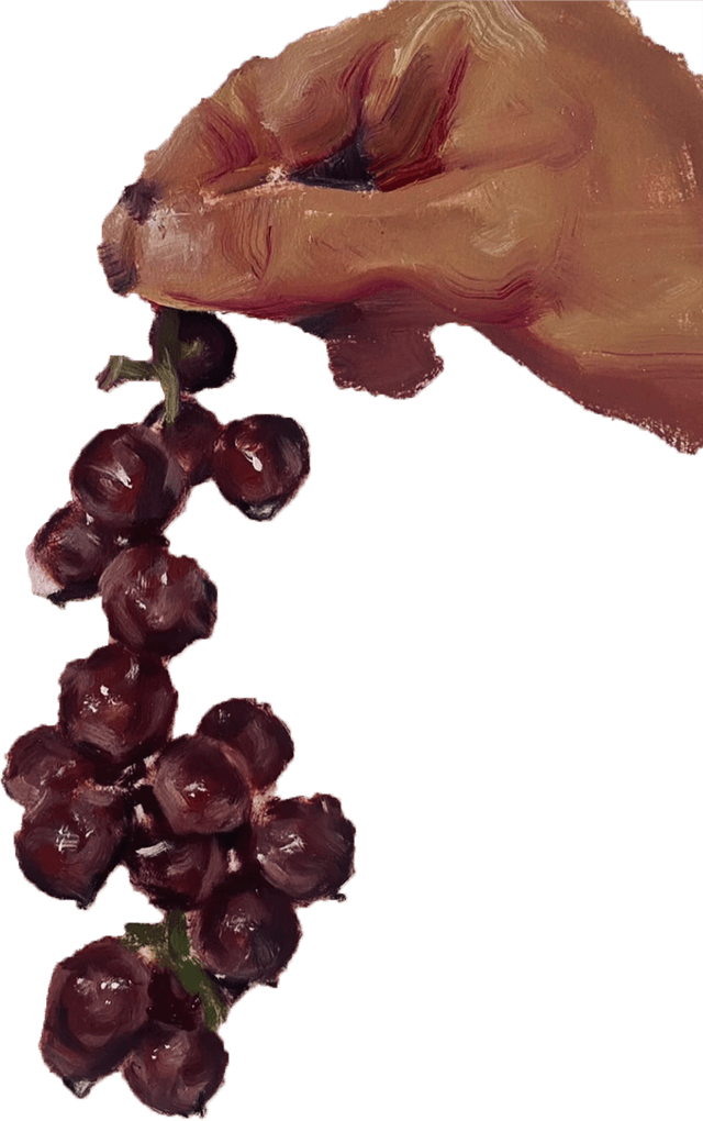 Hand holding grapes